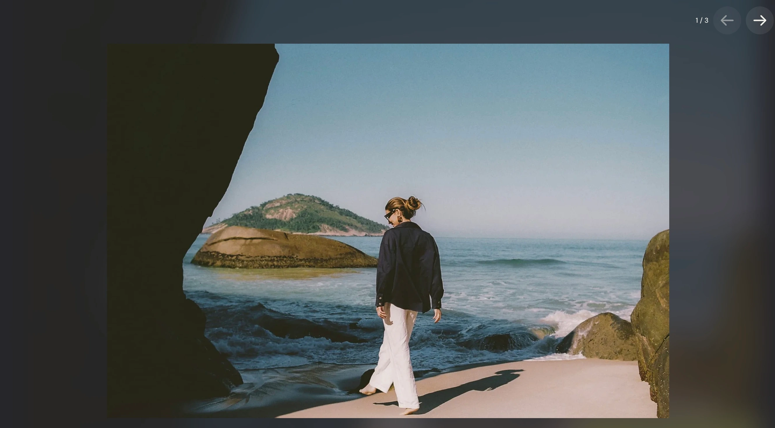 Siwa image viewer with image navigation controls