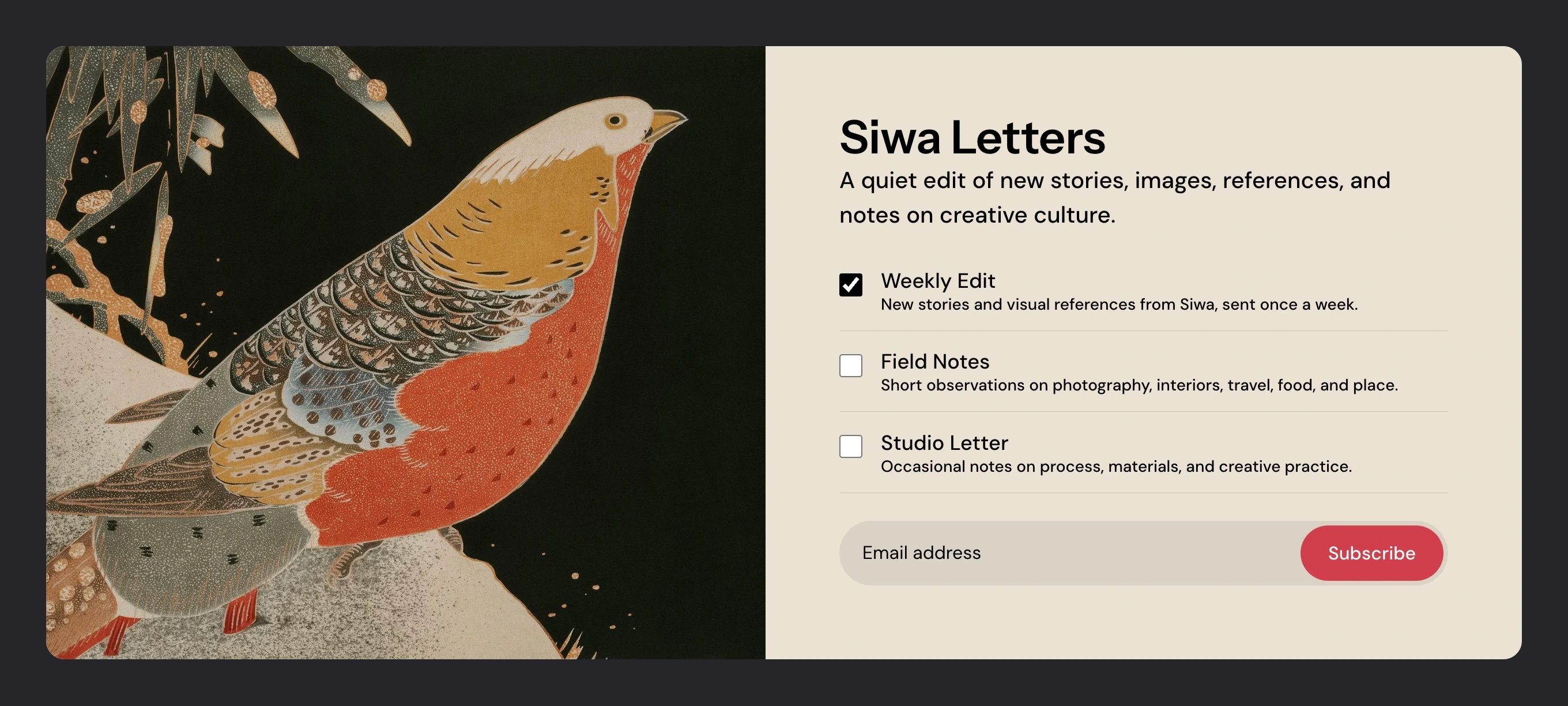 Siwa newsletter section with image and newsletter choices