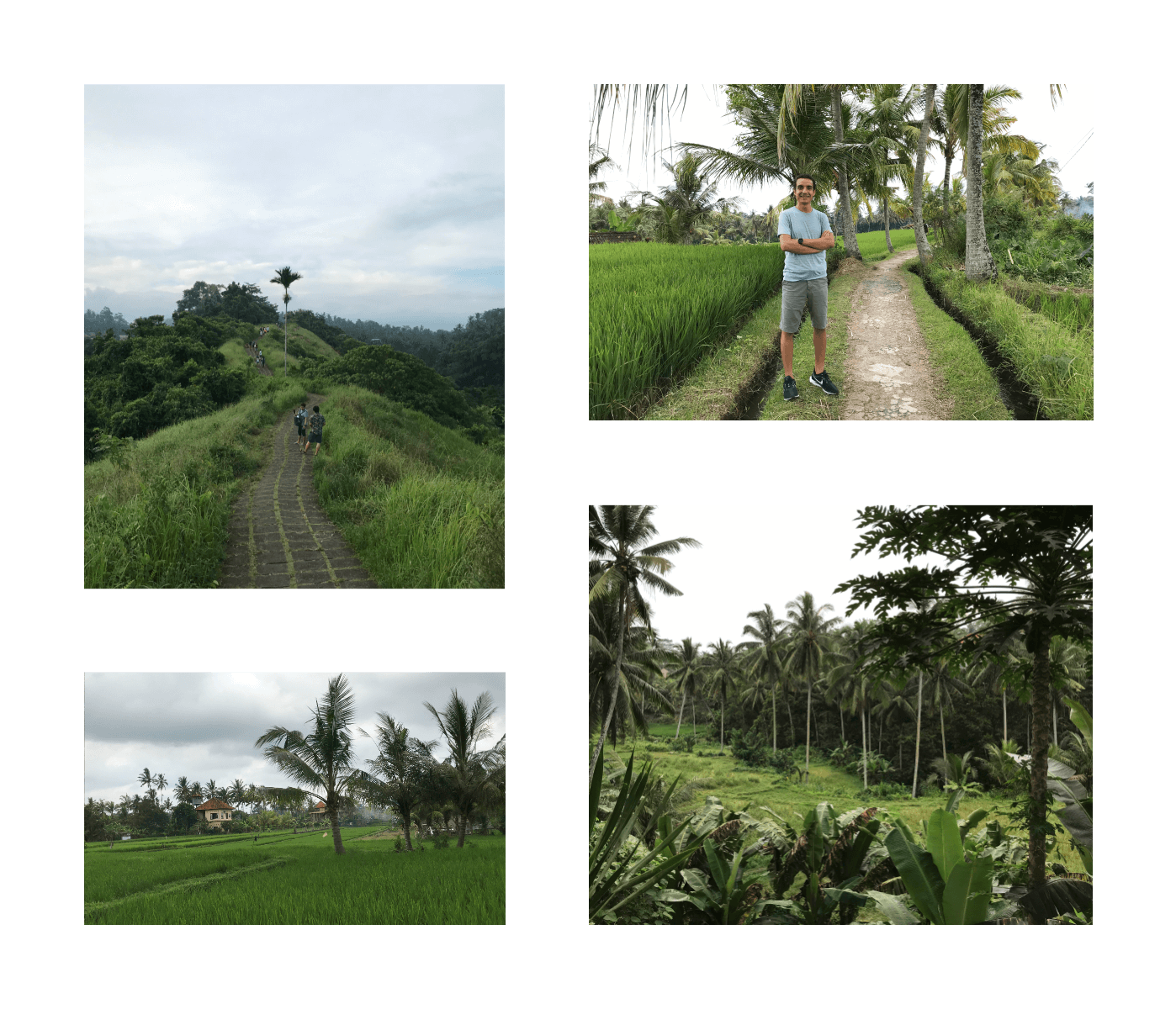 Ubud Town Images