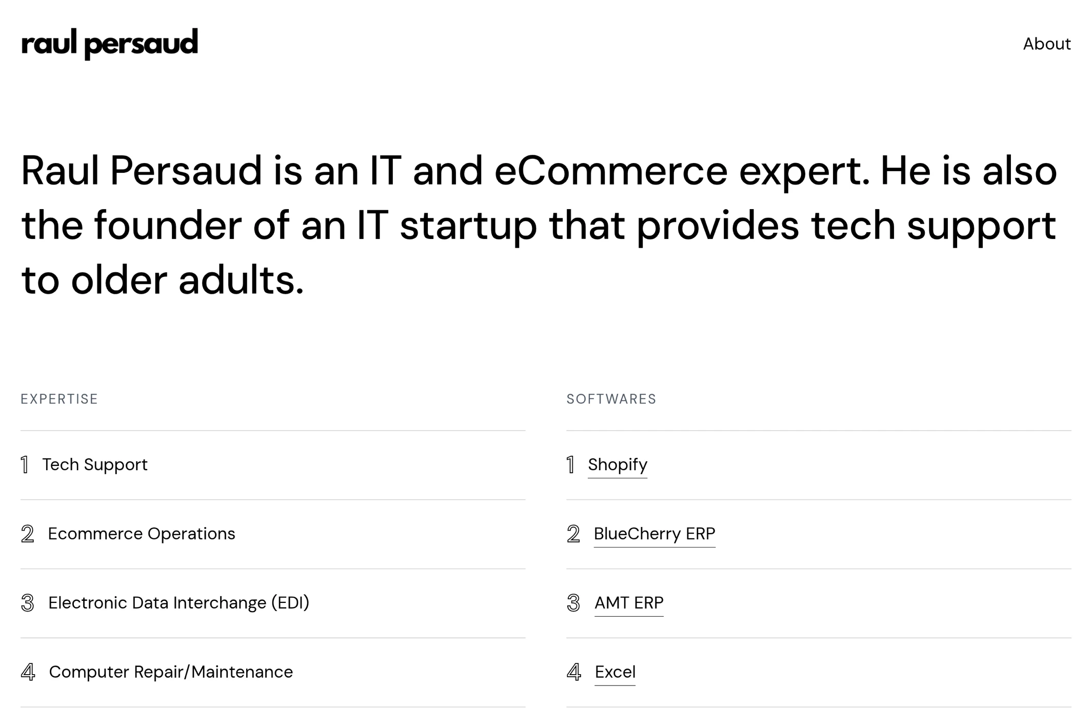 Screenshot of Raul Persaud — Ghost theme website