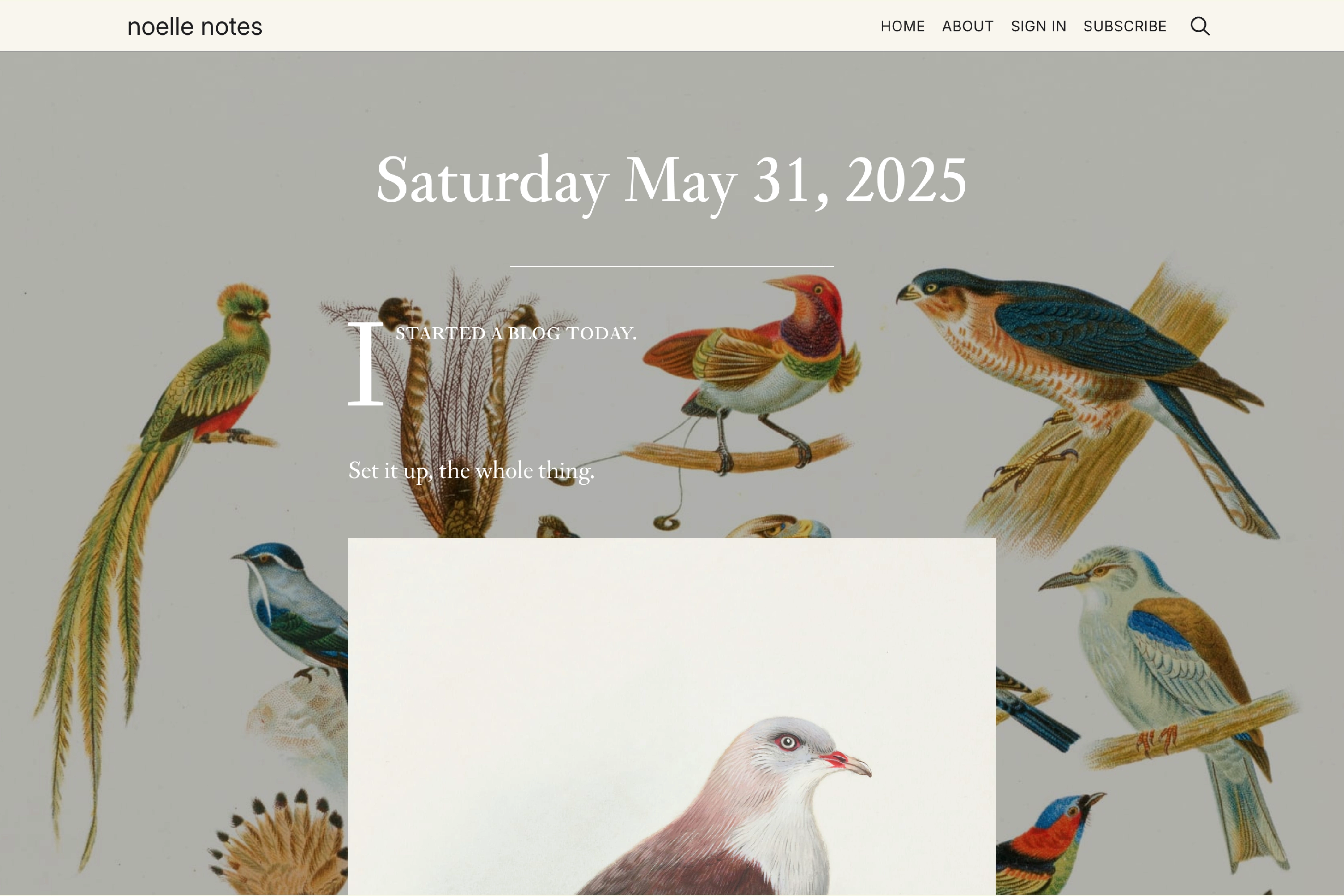 Screenshot of Noelle Notes — Ghost theme website