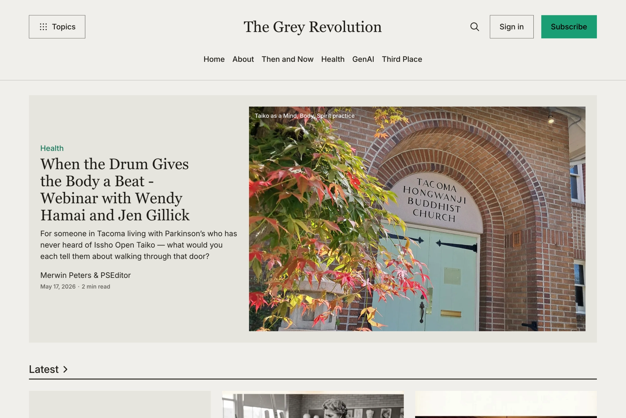 Screenshot of The Grey Revolution — Ghost theme website
