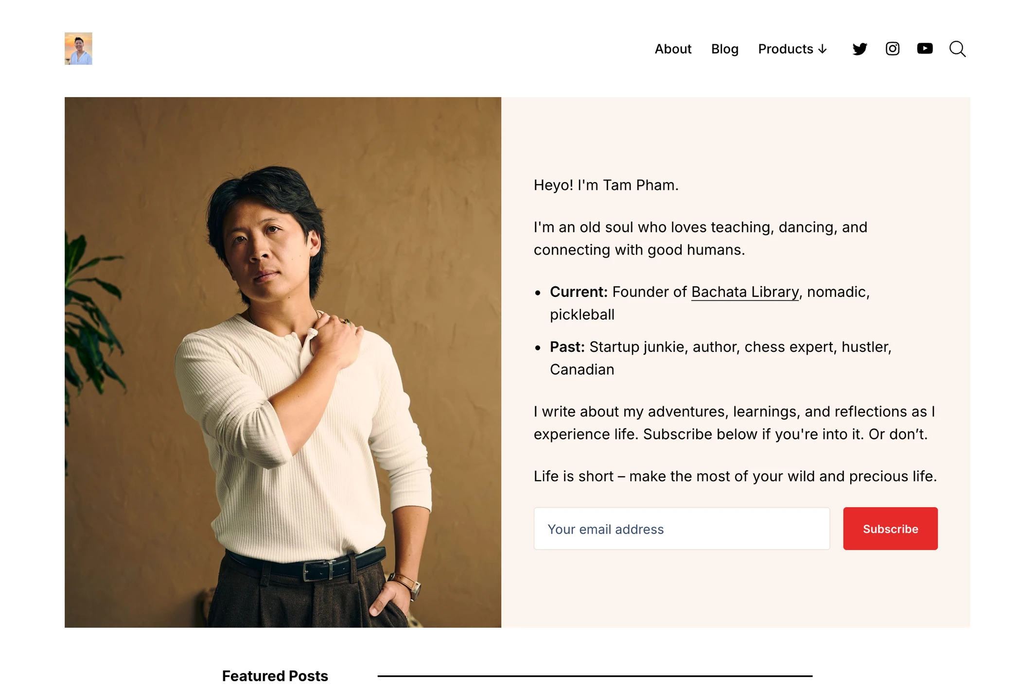 Screenshot of Tam Pham — Ghost theme website