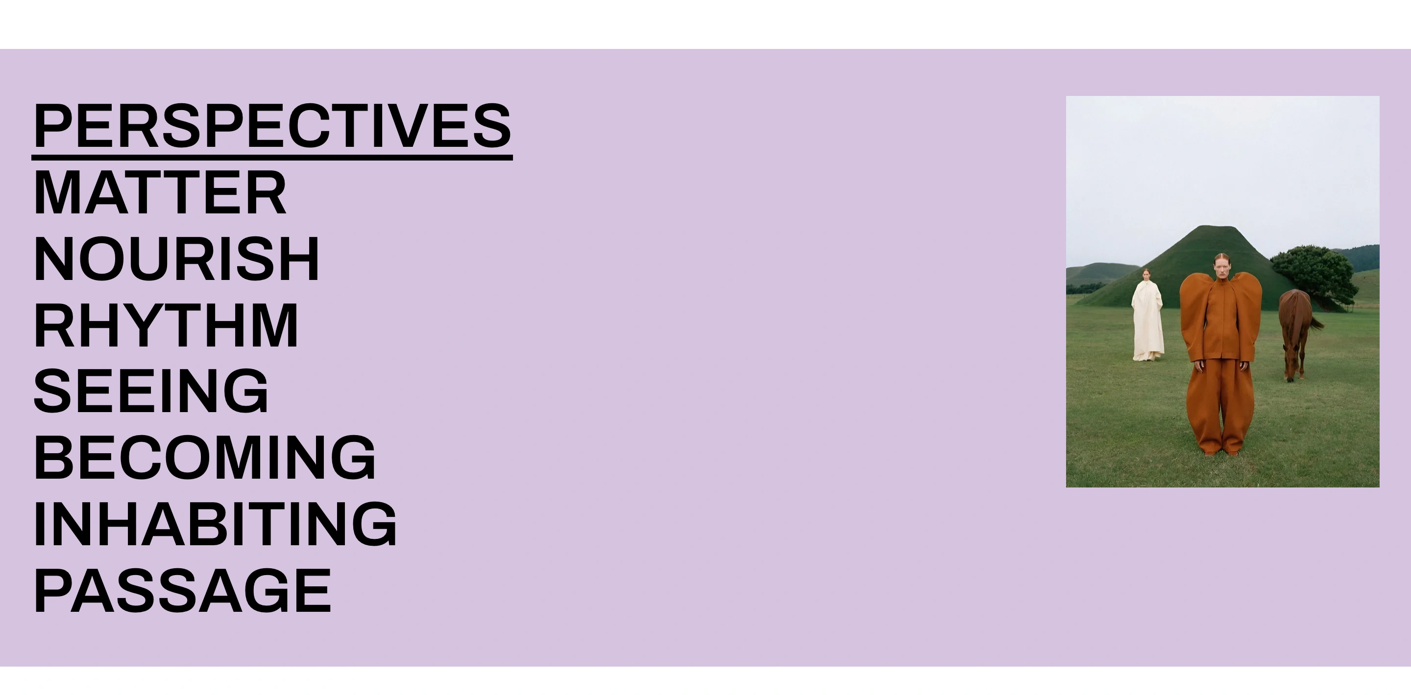 Homepage subjects with Perspectives selected and its preview image shown beside the list