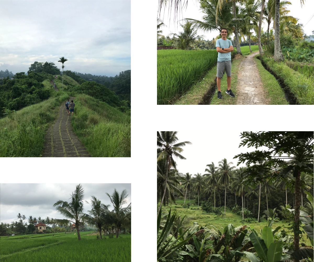 Ubud Town Images